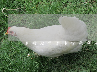 离婚起诉费多少钱啊(起诉离婚要多少钱起诉费)