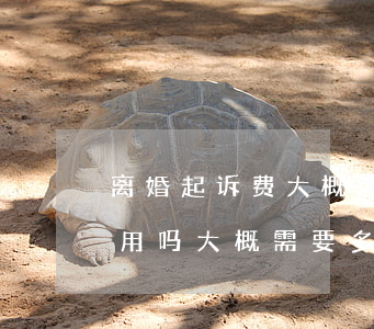 离婚起诉费大概需要多少钱(起诉离婚需要费用吗大概需要多少钱)