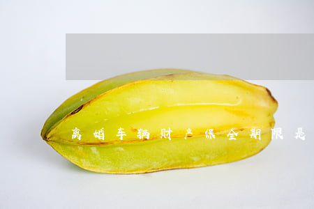 离婚车辆财产保全期限是多久