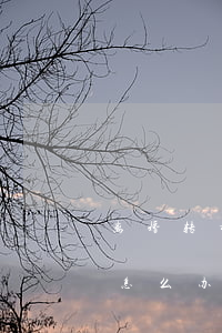 离婚转移财产怎样认定(婚内转移财产,离婚时怎么办)