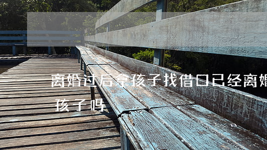 离婚过后拿孩子找借口(已经离婚了还能争取孩子吗)