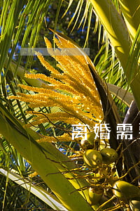离婚需要些什么材料