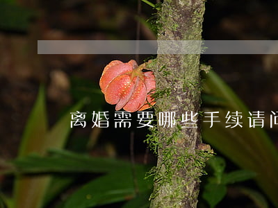 离婚需要哪些手续(请问离婚需要哪些手续)