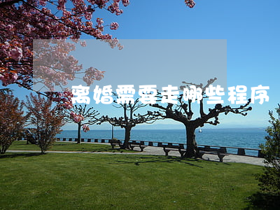离婚需要走哪些程序