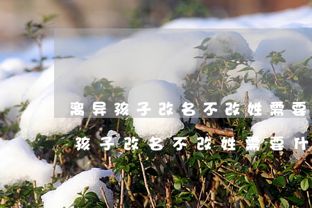 离异孩子改名不改姓需要什么手续(父母离异孩子改名不改姓需要什么手续)