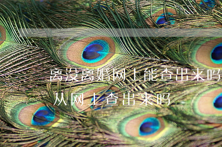 离没离婚网上能查出来吗(现在的离婚证可以从网上查出来吗)