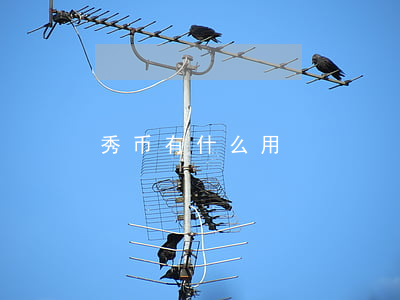 秀币有什么用