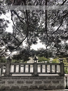 私下交易古董(私下交易古董違法嗎)