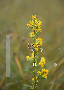 私下協(xié)商解決糾紛協(xié)議書模板(私下協(xié)商解決糾紛協(xié)議書模板)