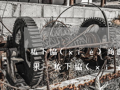 私下協(xié)商還款了對方不撤訴的后果-私下協(xié)商還款了對方不撤訴的后果是什么