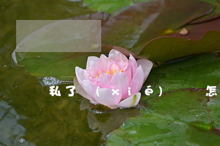 私了協(xié)議書怎么寫