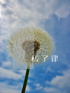 私了律師提成一般多少(私了需要給律師費用嗎)
