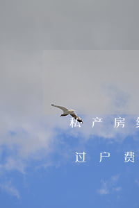 私产房继承怎么过户费(法定继承人继承房子过户费怎么算)