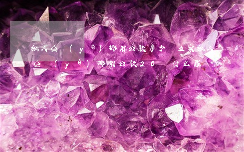 私人企業(yè)挪用公款多少錢立案(私人企業(yè)挪用公款20萬什么罪)