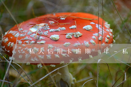 私人信用卡逾期一年-私人信用卡逾期一年