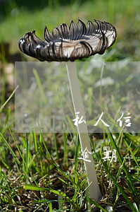 私人信用卡逾期怎么還款(有嚴(yán)重逾期記錄如何辦信用卡)