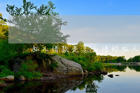 私人借款是怎么借的(私人貸款那里可以借到)