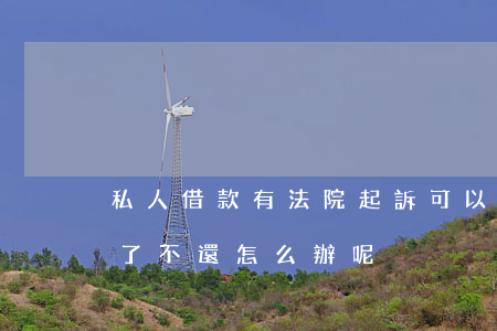 私人借款有法院起訴可以嗎(私人借款法院判了不還怎么辦呢)