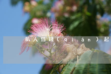 私人借錢(qián)起訴法院管轄