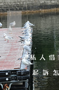私人借錢不還被起訴怎么辦(私人借錢不還被起訴怎么辦)