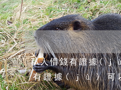 私人借錢有證據(jù)如何起訴(私人借錢有證據(jù)可以起訴嗎)