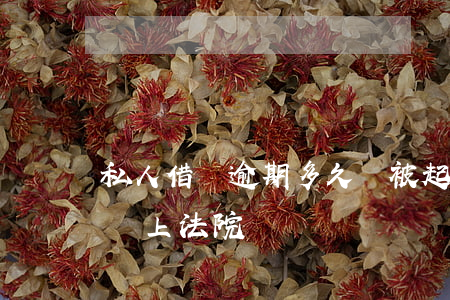 私人借錢逾期多久會被起訴（隨意借逾期多久會上法院）