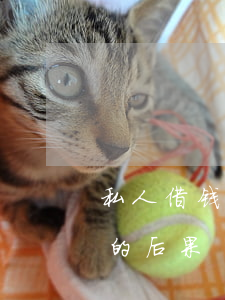 私人借钱不还起诉模板(私人借钱不还被起诉的后果)