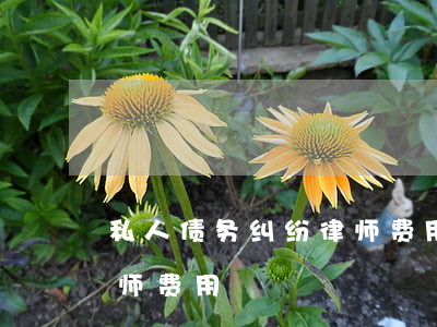 私人债务纠纷律师费用谁出（私人债务纠纷律师费用）
