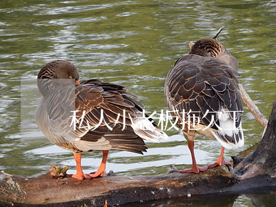 私人小老板拖欠工資