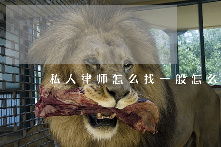 私人律师怎么找(一般怎么找律师)