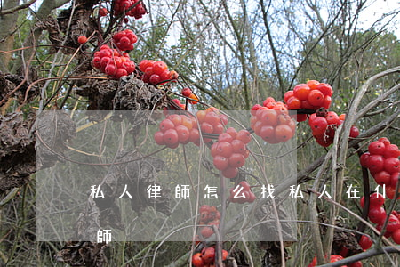 私人律師怎么找(私人在什么情況下才能找律師)