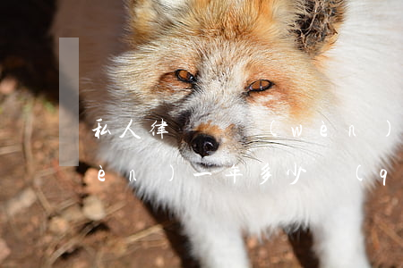 私人律師顧問(wèn)(私人律師顧問(wèn)一年多少錢(qián))
