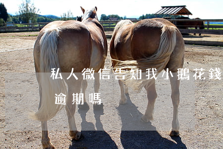 私人微信告知我小鵝花錢逾期(小鵝花錢有人逾期嗎)