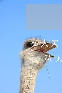 私人欠貨款起訴只有微信聊天證據(jù)-私人欠貨款起訴只有微信聊天證據(jù)可以嗎