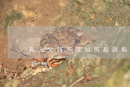 私人欠錢不還如何起訴(私人欠錢不還如何起訴他)