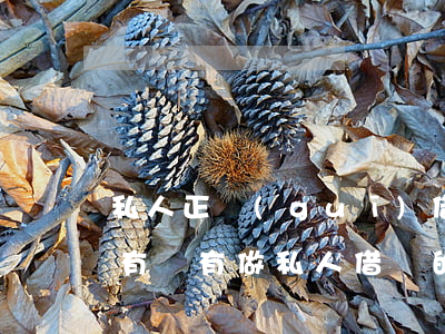 私人正規(guī)借條可以填寫的方式嗎(有沒有做私人借條的)