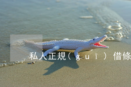 私人正規(guī)借條怎么寫范本圖片