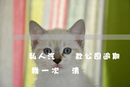 私人汽車貸款公司逾期(車貸逾期貸款公司訴我一次還清)