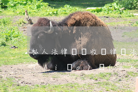 私人法律顧問收費(律師法律顧問單位收費標(biāo)準(zhǔn))