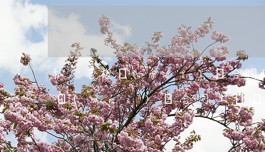 私人老板沒(méi)簽合同工傷(私人老板沒(méi)簽合同工傷賠償標(biāo)準(zhǔn))