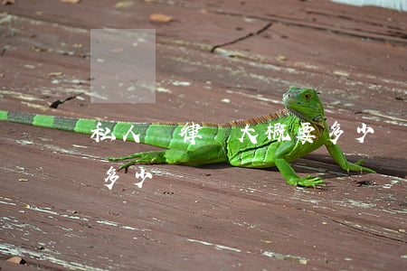 私人請律師大概要多少錢(私人請律師大概要多少錢)