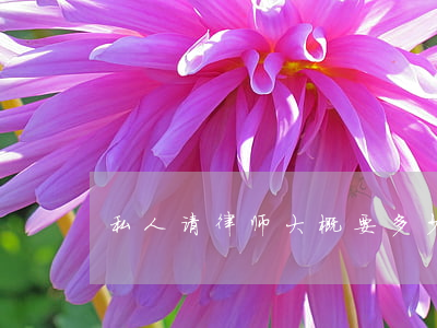 私人请律师大概要多少钱(请律师多少钱?)