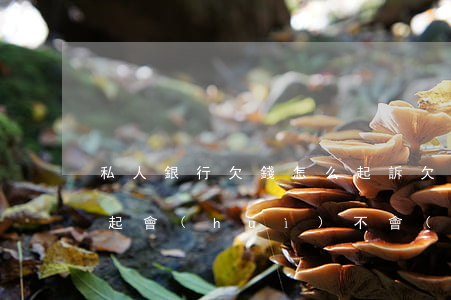私人銀行欠錢怎么起訴(欠私人銀行的錢還不起會(huì)不會(huì)是黑名單)
