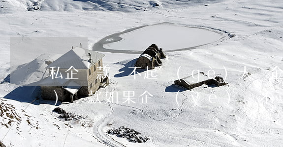 私企貸款還不起(個(gè)人給企業(yè)貸款如果企業(yè)還不上我們個(gè)人受什么法律責(zé)任)