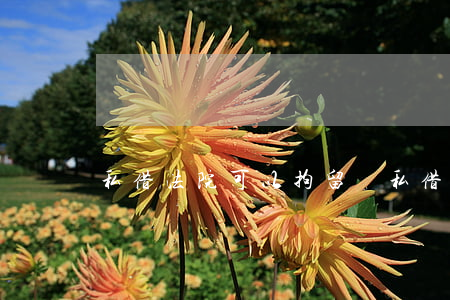 私借法院可以拘留嗎(私借法院可以拘留嗎)