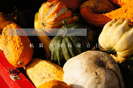 私募合同有成立日期嗎