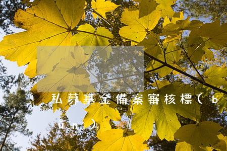 私募基金備案審核標(biāo)準(zhǔn)