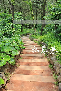 私募基金公司注冊條件
