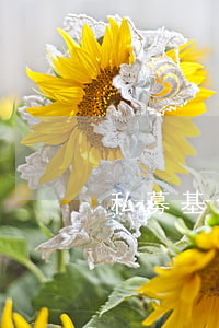 私募基金投资收益如何分配