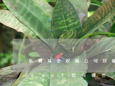 私募基金收購公司股權(quán)的優(yōu)勢有哪些
